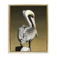 thumbnail image 1 of Stupell Industries Traditional Pelican with Intense Gaze Gold Floating Frame Canvas Art, 25 x 31, by Christine Reichow, 1 of 8