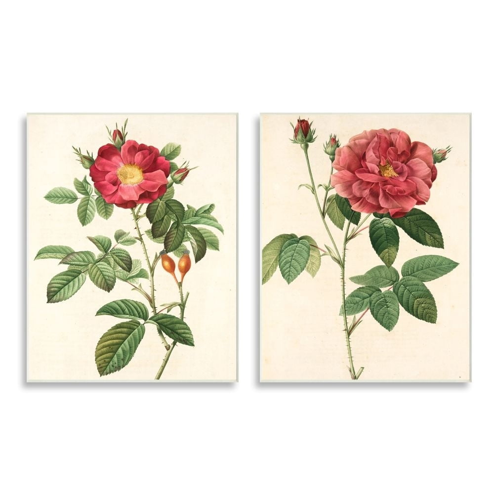 Stupell Industries Traditional Red Flowers with Floral Stem Details Designed by Ziwei Li