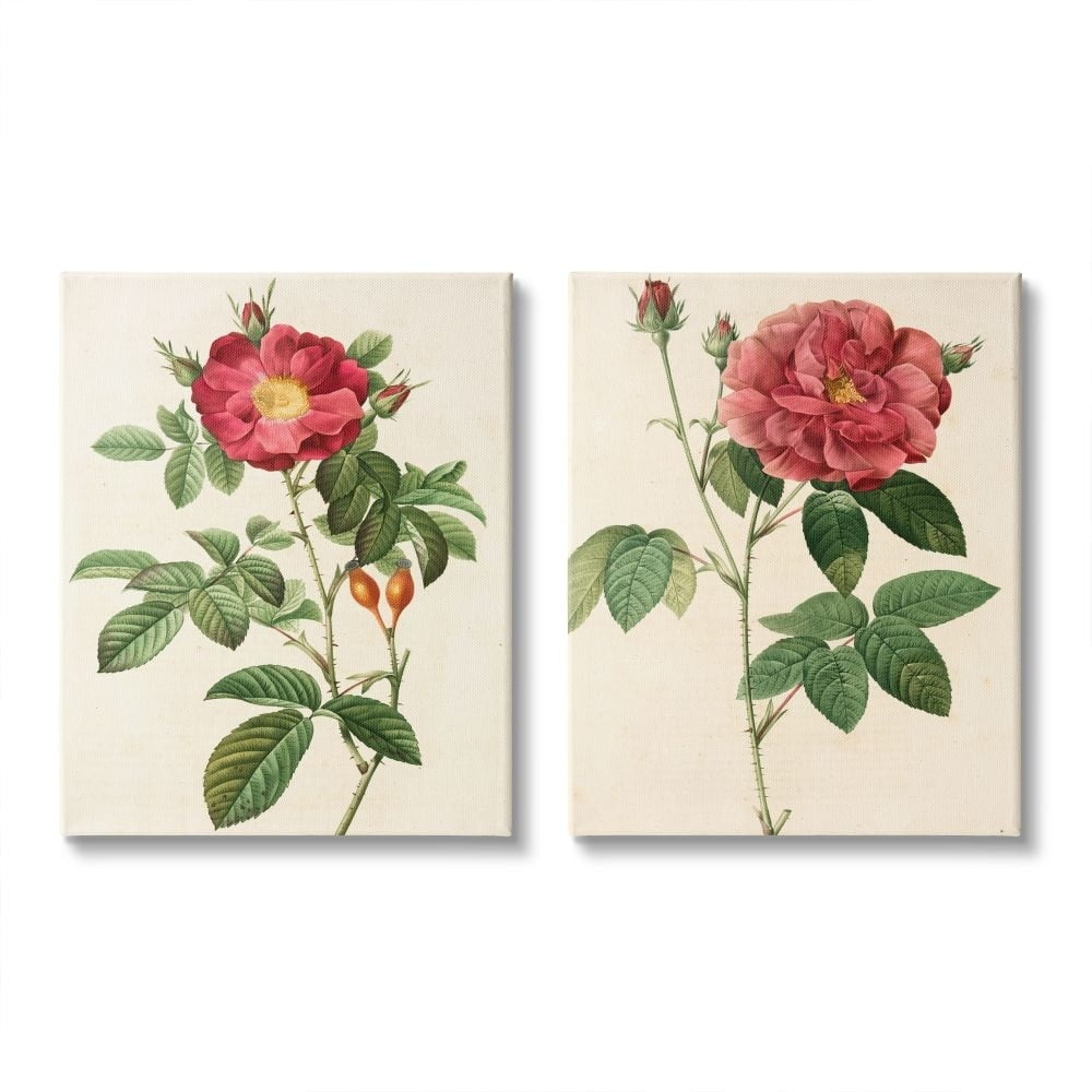 Stupell Industries Traditional Red Flowers with Floral Stem Details Designed by Ziwei Li