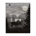thumbnail image 1 of Stupell Industries Traditional Rustic Moose at Night Canvas Art, 36 x 48, by Susan Arnot, 1 of 7