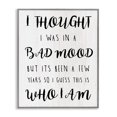thumbnail image 1 of Stupell Industries Traditional Sassy Bad Mood Attitude Gray Framed Giclee Art, 16 x 20, by Lil' Rue, 1 of 7