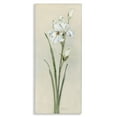thumbnail image 1 of Stupell Industries Traditional Simple Iris on Beige Canvas Art, 13 x 30, by Sally Swatland, 1 of 8