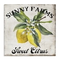 thumbnail image 1 of Stupell Industries Traditional Sunny Farms Sweet Lemon Canvas Art, 36 x 36, by Creatif Belle, 1 of 8