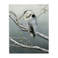 thumbnail image 1 of Stupell Industries Traditional Traditional Heron on Branch Canvas Art, 16 x 20, by Christine Reichow, 1 of 8