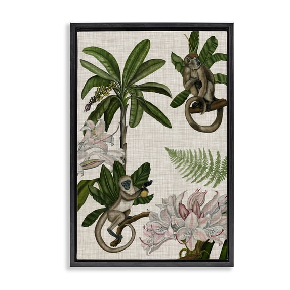 Stupell Industries Traditional Tropical Monkey Studies Black Floating Frame Canvas Art, 17 x 25, by Vision Studio