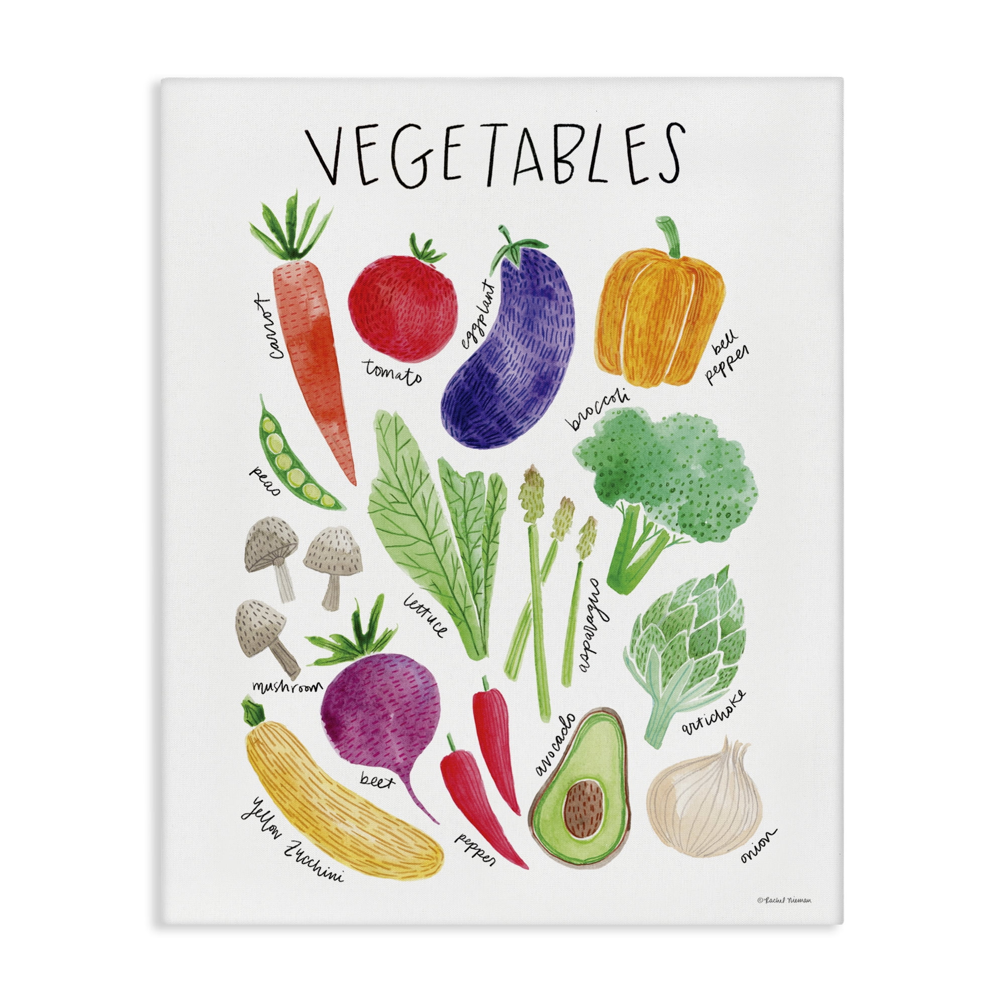 Stupell Industries Traditional Varied Vegetables Plants Labeled Diagram ...