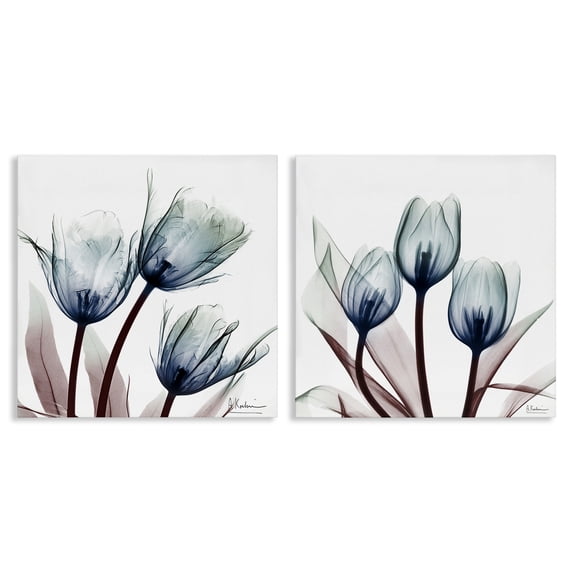 Stupell Industries Traditional Vibrant Blue Tulips 2pc Canvas Art Set, 24 x 24 each, by Albert Koetsier