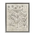 thumbnail image 1 of Stupell Industries Traditional Vintage Plant Life Gray Floating Frame Canvas Art, 17 x 21, by Lettered and Lined, 1 of 8