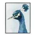 thumbnail image 1 of Stupell Industries Traditional Vivid Plumage Peacock Black Framed Giclee Art, 24 x 30, by Hannah Dawson, 1 of 7