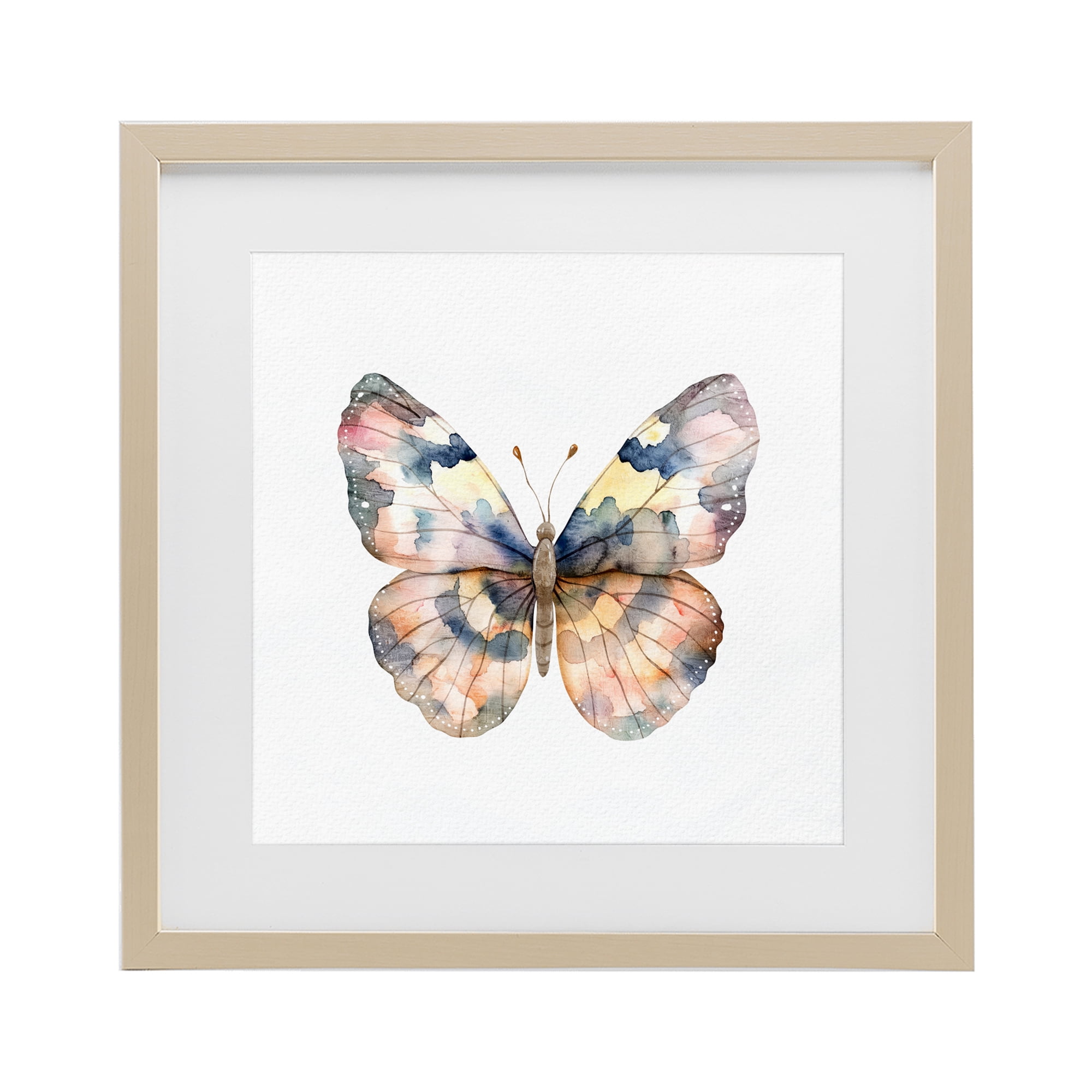 Stupell Industries Traditional Watercolor Butterfly Birch Framed Print Under Glass, design by Kim Allen