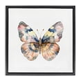 thumbnail image 1 of Stupell Industries Transitional Traditional Watercolor Butterfly Black Floating Frame Canvas Art, 18 x 18, by Kim Allen, 1 of 8