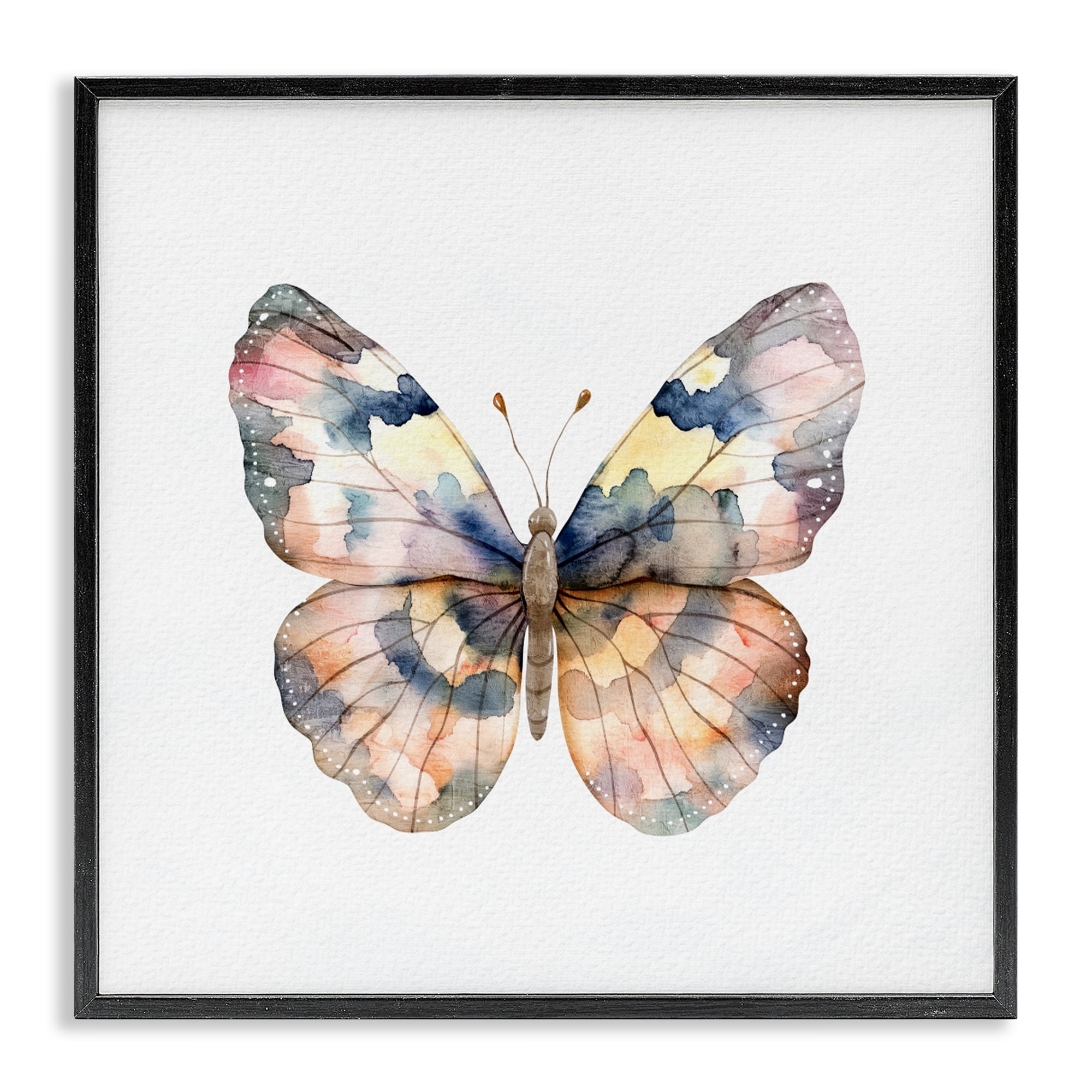 Stupell Industries Traditional Watercolor Butterfly Black Framed Giclee Art, design by Kim Allen