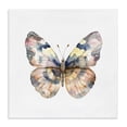 thumbnail image 1 of Stupell Industries Transitional Traditional Watercolor Butterfly Canvas Art, 17 x 17, by Kim Allen, 1 of 8