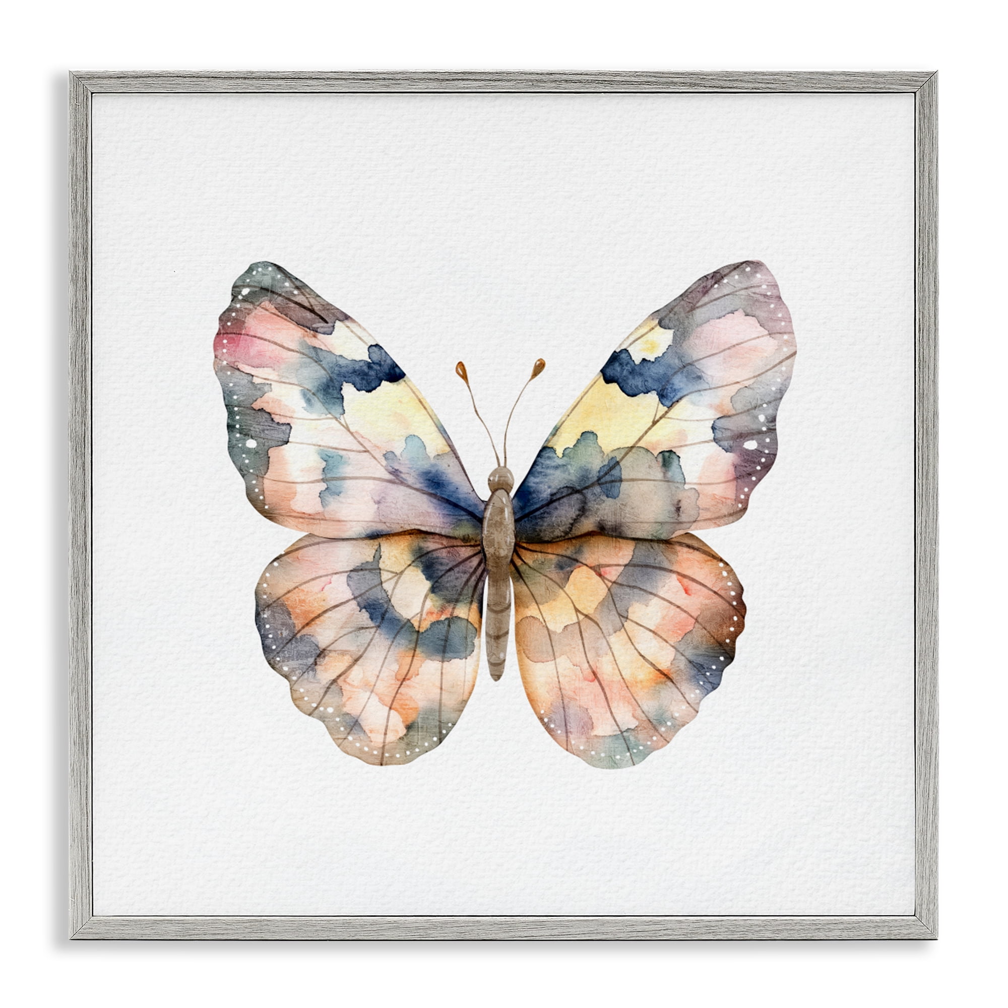 Stupell Industries Traditional Watercolor Butterfly Gray Framed Giclee Art, design by Kim Allen