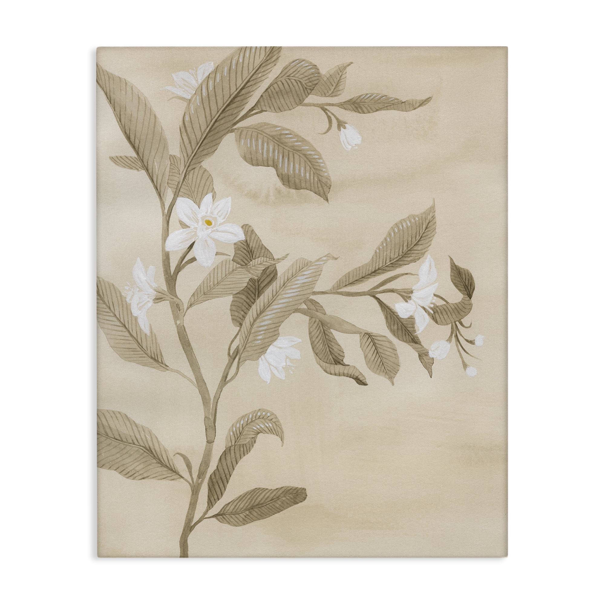 Stupell Industries Traditional White Daffodils Plants & Flowers Painting Wrapped Canvas Art Print Wall Art, 16 x 20