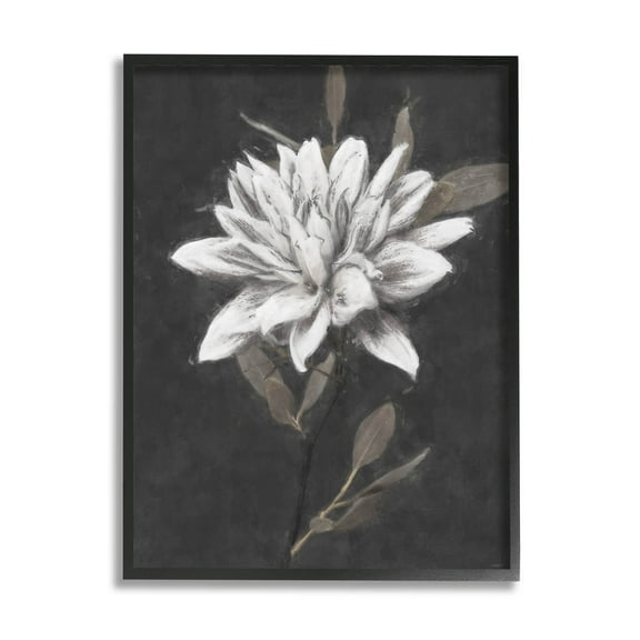 Stupell Industries Traditional White Dahlia Flower Graphic Art Black Framed Art Print Wall Art, Design by Nina Blue