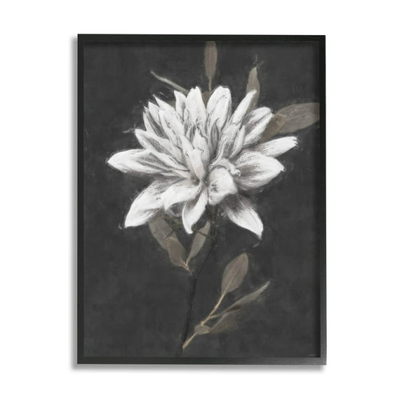 Stupell Industries Traditional White Dahlia Flower Graphic Art Black Framed Art Print Wall Art, Design by Nina Blue