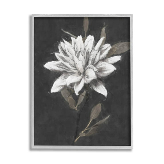Stupell Industries Traditional White Dahlia Flower Graphic Art Gray Framed Art Print Wall Art, Design by Nina Blue