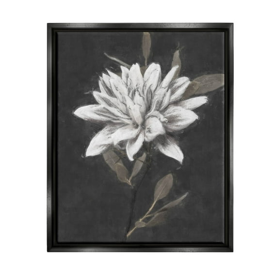 Stupell Industries Traditional White Dahlia Flower Graphic Art Jet Black Floating Framed Canvas Print Wall Art, Design by Nina Blue
