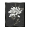thumbnail image 1 of Stupell Industries Traditional White Dahlia Flower Graphic Art Jet Black Floating Framed Canvas Print Wall Art, Design by Nina Blue, 1 of 6