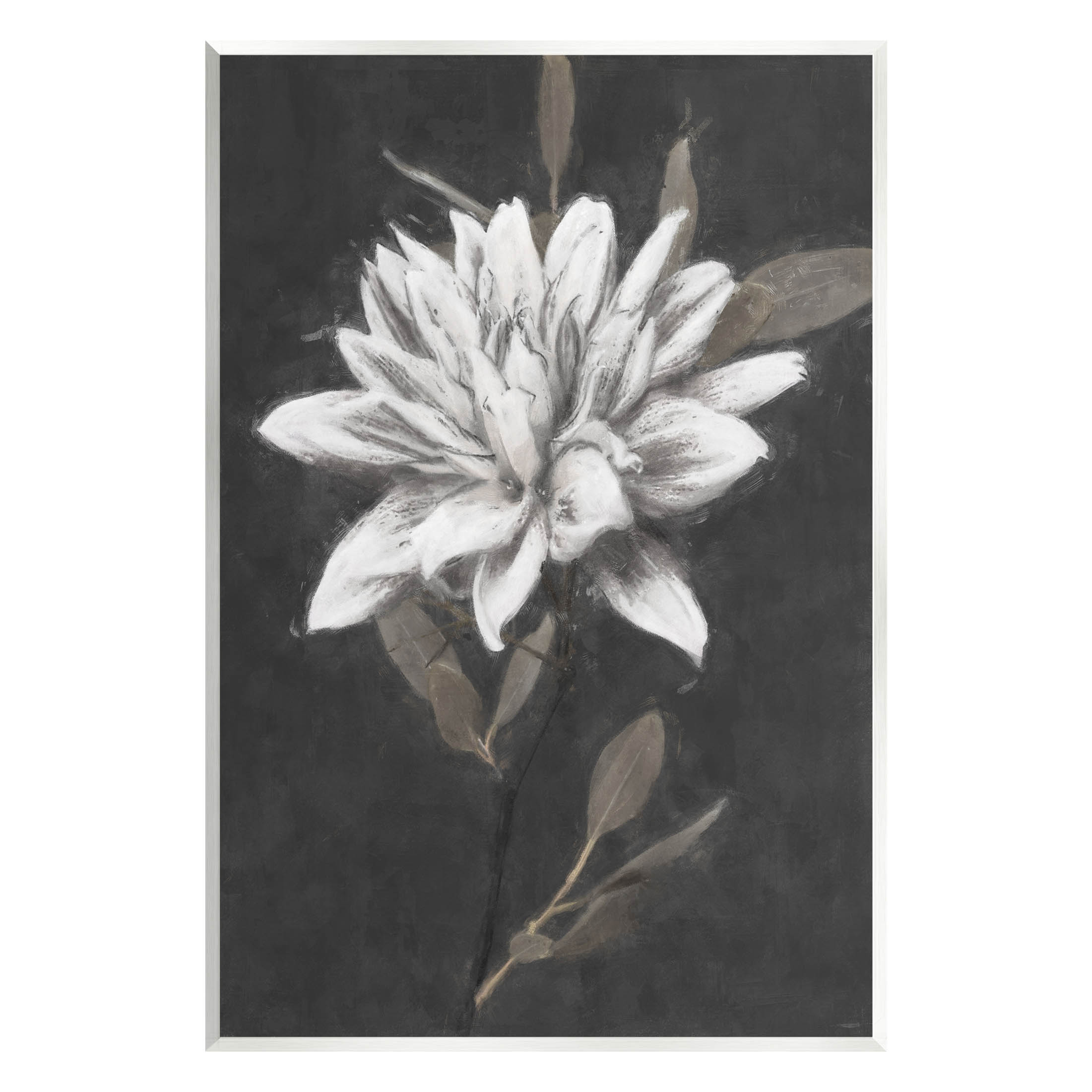 Stupell Industries Traditional White Dahlia Flower Graphic Art Unframed Art Print Wall Art, Design by Nina Blue