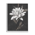 thumbnail image 1 of Stupell Industries Traditional White Dahlia Flower Graphic Art White Framed Art Print Wall Art, Design by Nina Blue, 1 of 7