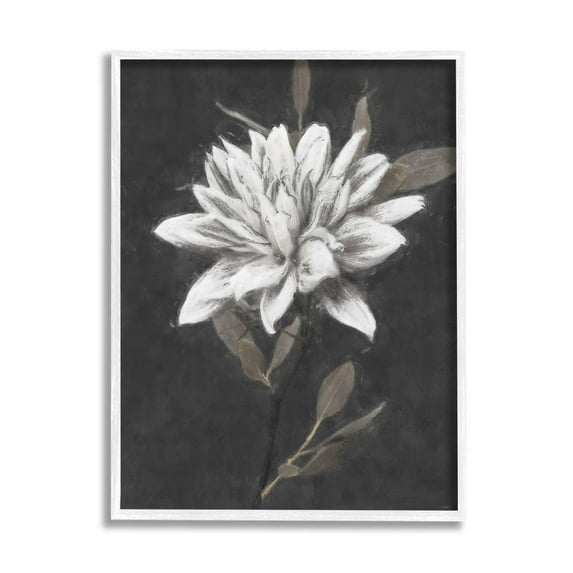 Stupell Industries Traditional White Dahlia Flower Graphic Art White Framed Art Print Wall Art, Design by Nina Blue