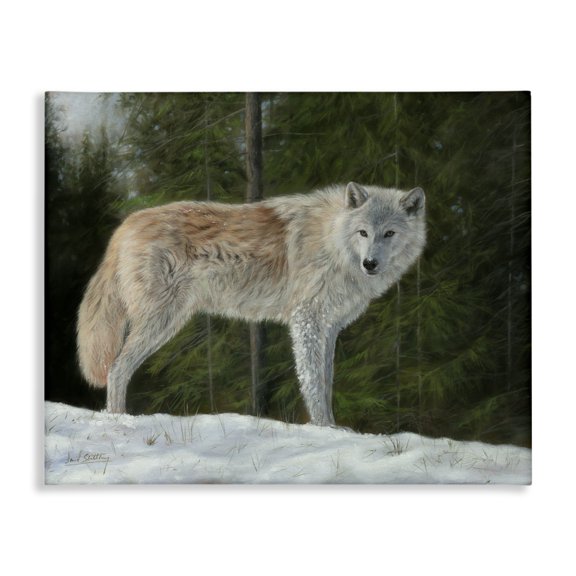 Stupell Industries Traditional Wild Coyote Wolf Gazing Snowy Forest Clearing Canvas Art, 48 x 36, by David Stribbling