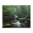 thumbnail image 1 of Stupell Industries Traditional Woodland Creek Landscape Canvas Art, 20 x 16, by Patrick Zephyr, 1 of 7