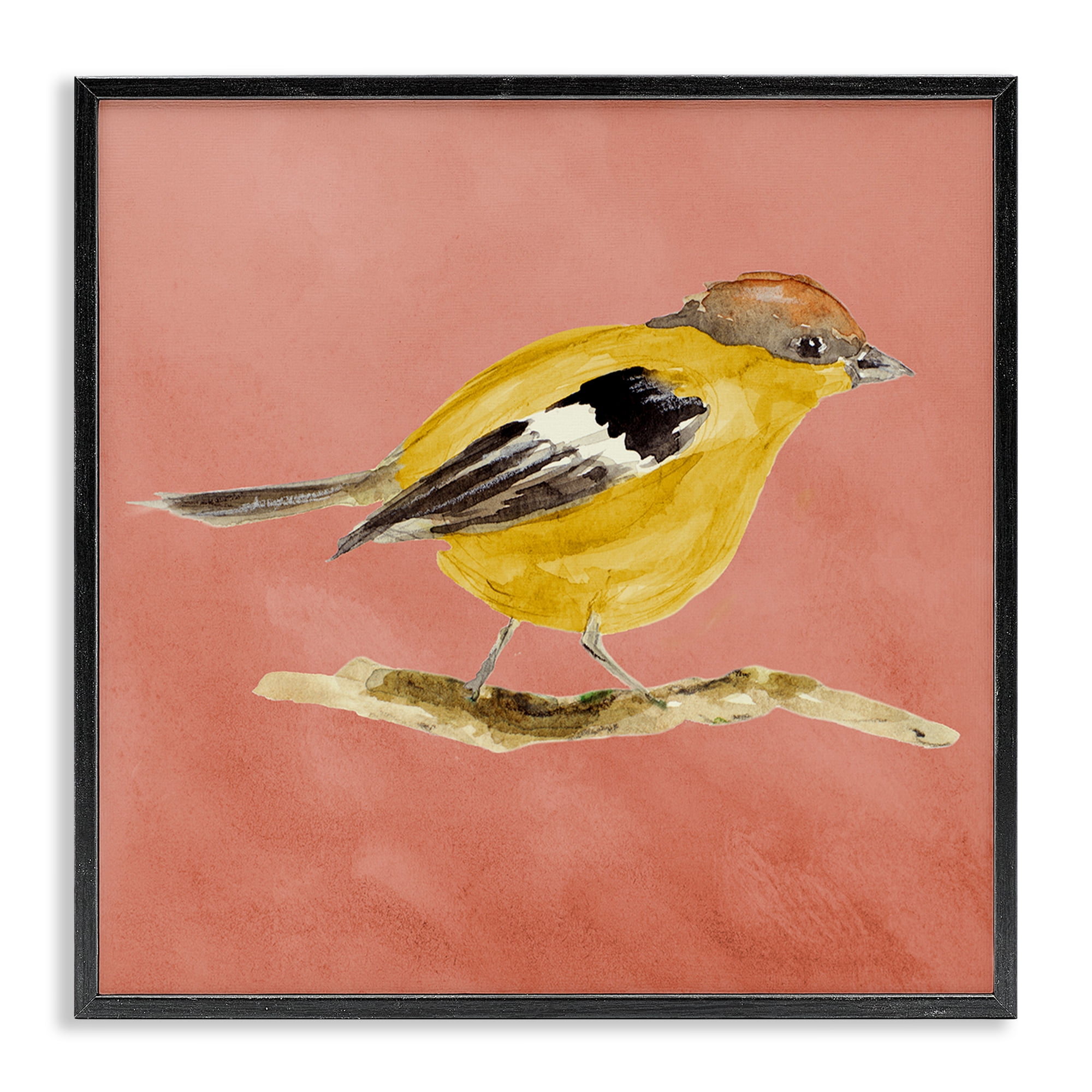 Stupell Industries Traditional Wren Bird Animals & Insects Painting Black Framed Art Print Wall Art, 24 x 24