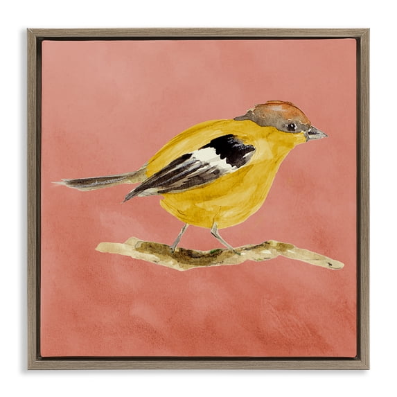 Stupell Industries Transitional Traditional Wren Bird Brown Floating Frame Canvas Art, 25 x 25, by Lanie Loreth