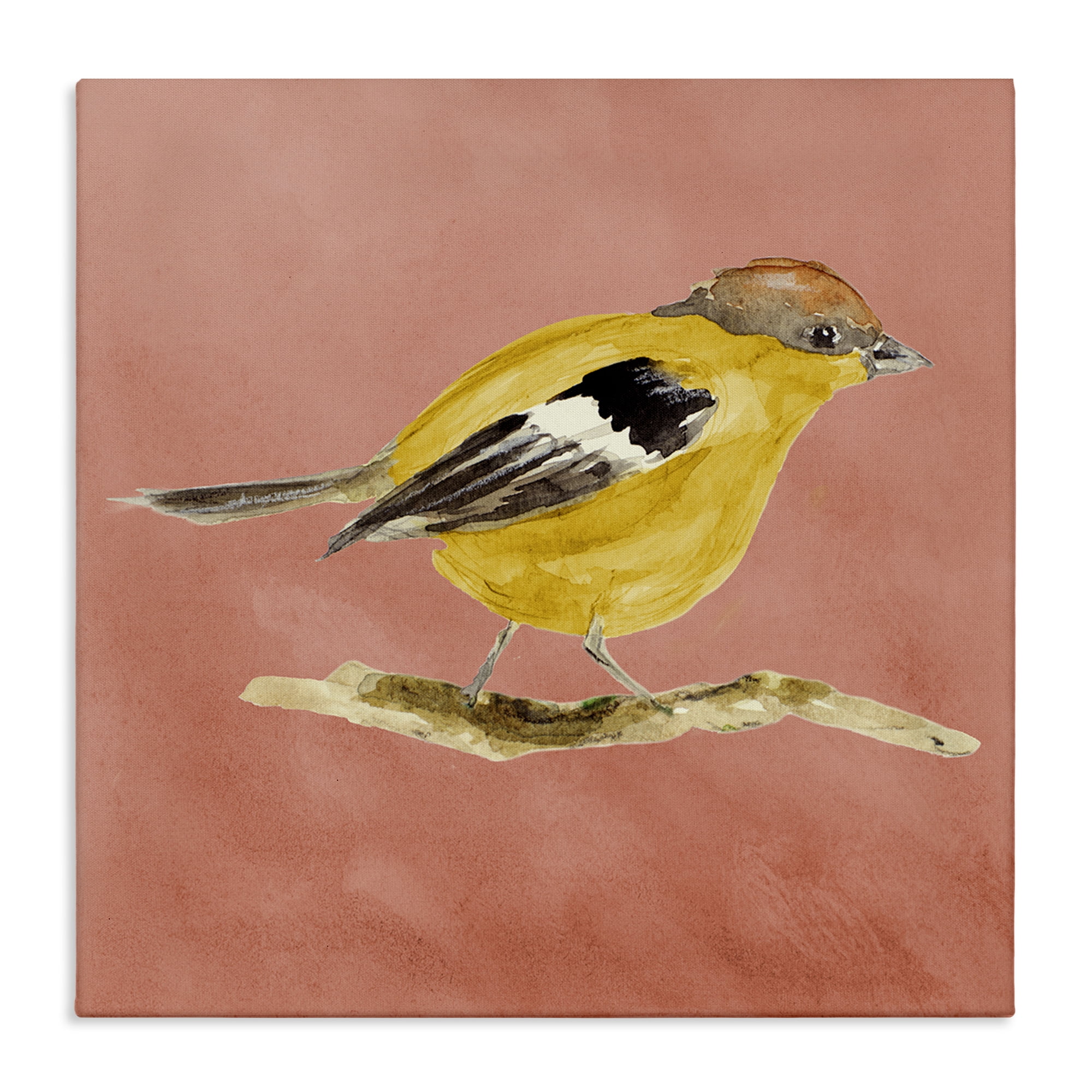 Stupell Industries Traditional Wren Bird Animals & Insects Painting Gallery Wrapped Canvas Art Print Wall Art, 30 x 30