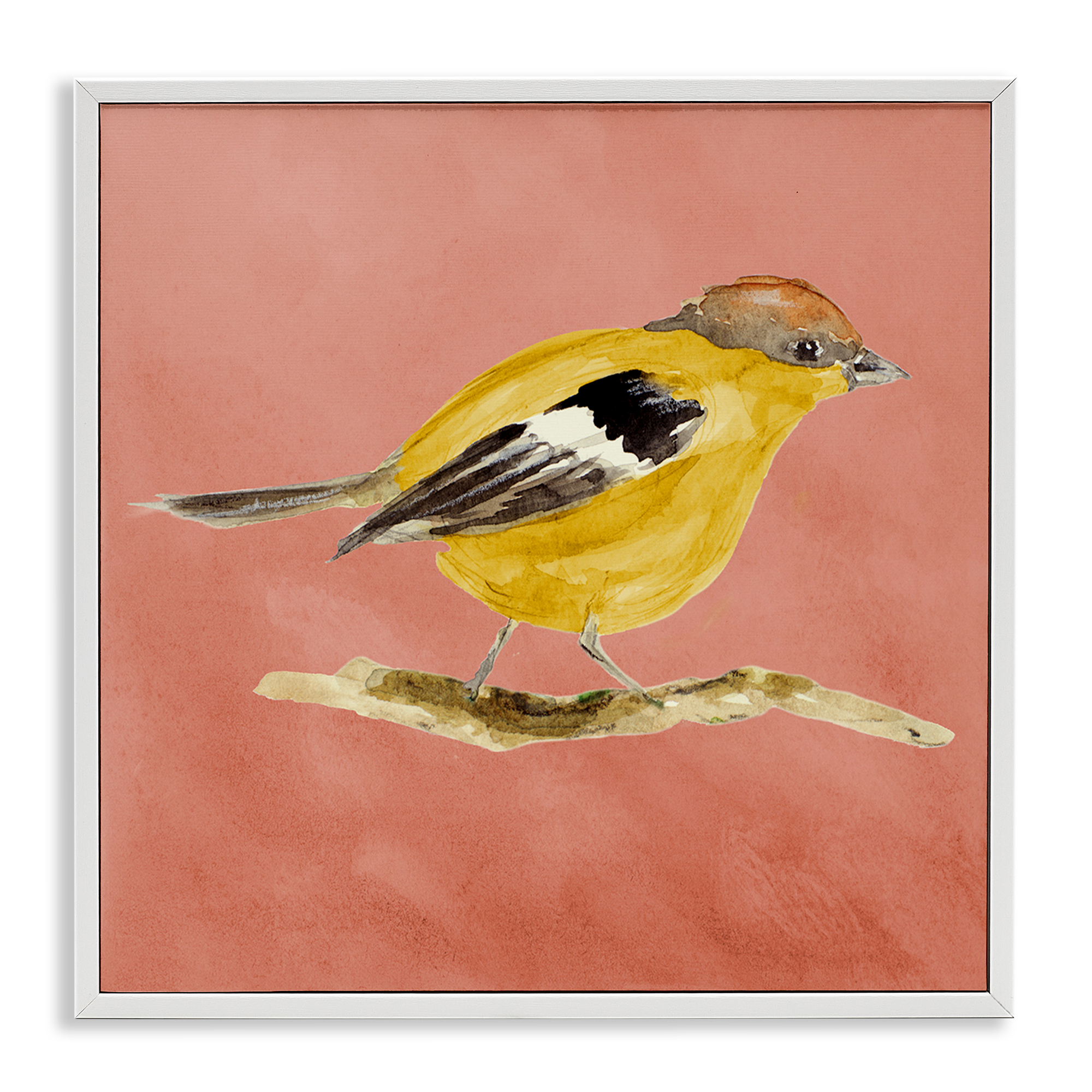Stupell Industries Traditional Wren Bird Animals & Insects Painting White Framed Art Print Wall Art, 12 x 12