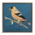 thumbnail image 1 of Stupell Industries French Country Traditional Yellow Bird Brown Floating Frame Canvas Art, 25 x 25, by Lanie Loreth, 1 of 8