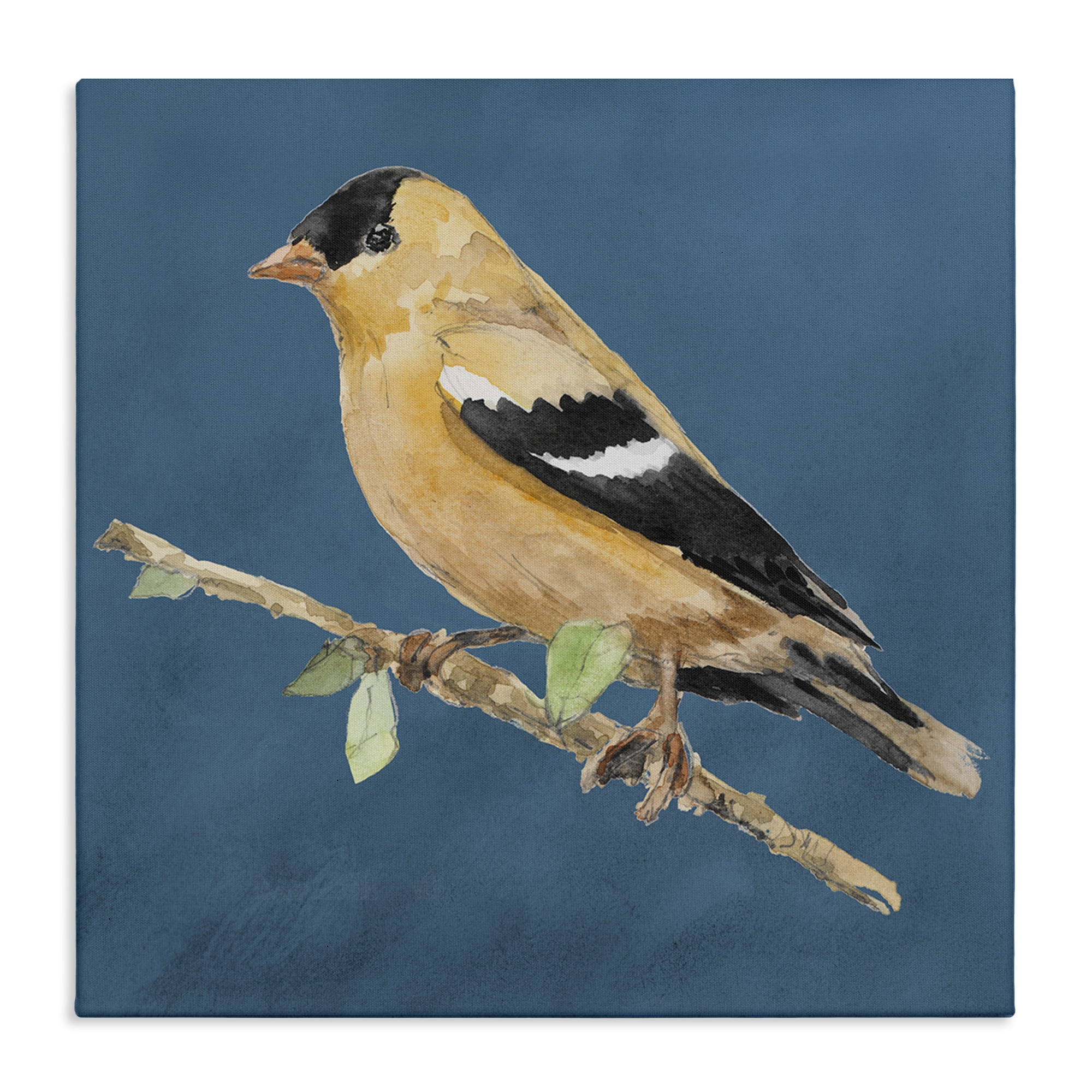 Stupell Industries Traditional Yellow Bird Animals & Insects Painting Gallery Wrapped Canvas Art Print Wall Art, 24 x 24