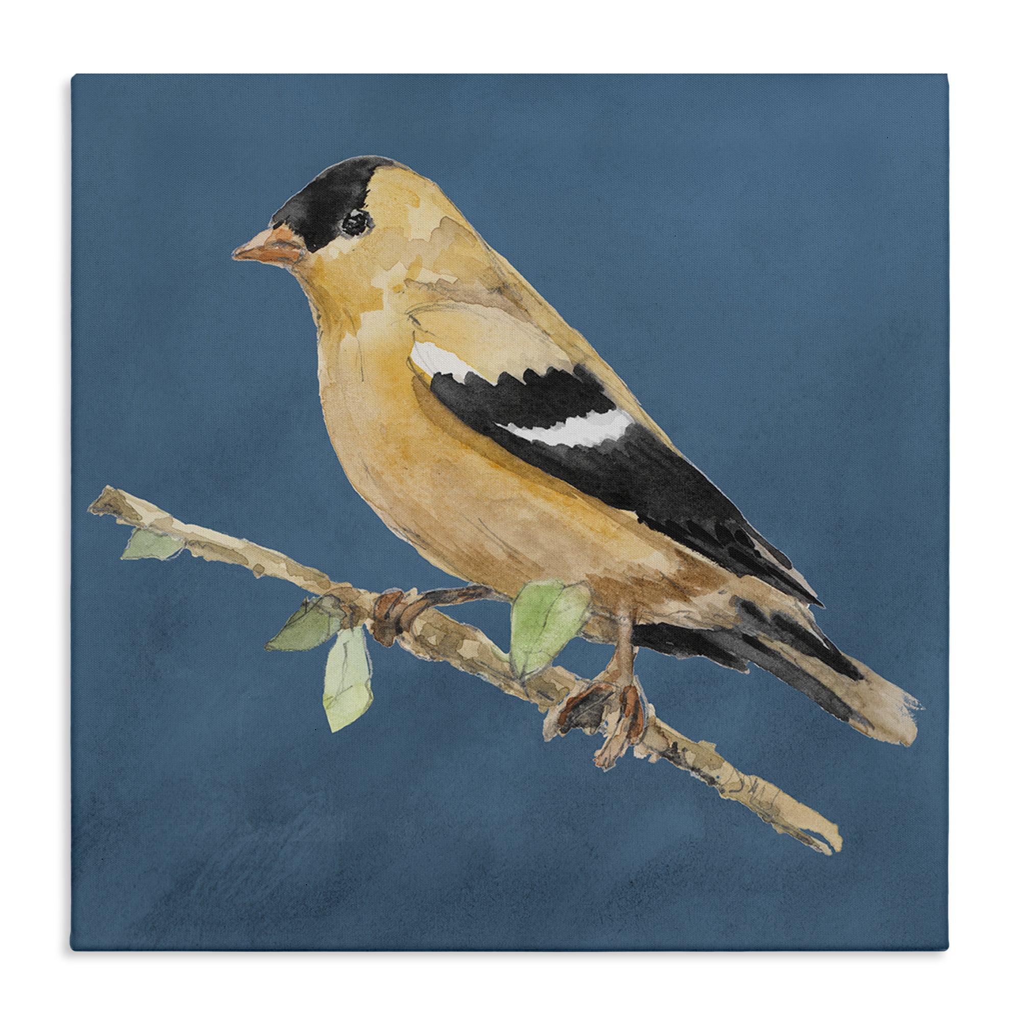 Stupell Industries Traditional Yellow Bird Animals & Insects Painting Gallery Wrapped Canvas Art Print Wall Art, 30 x 30