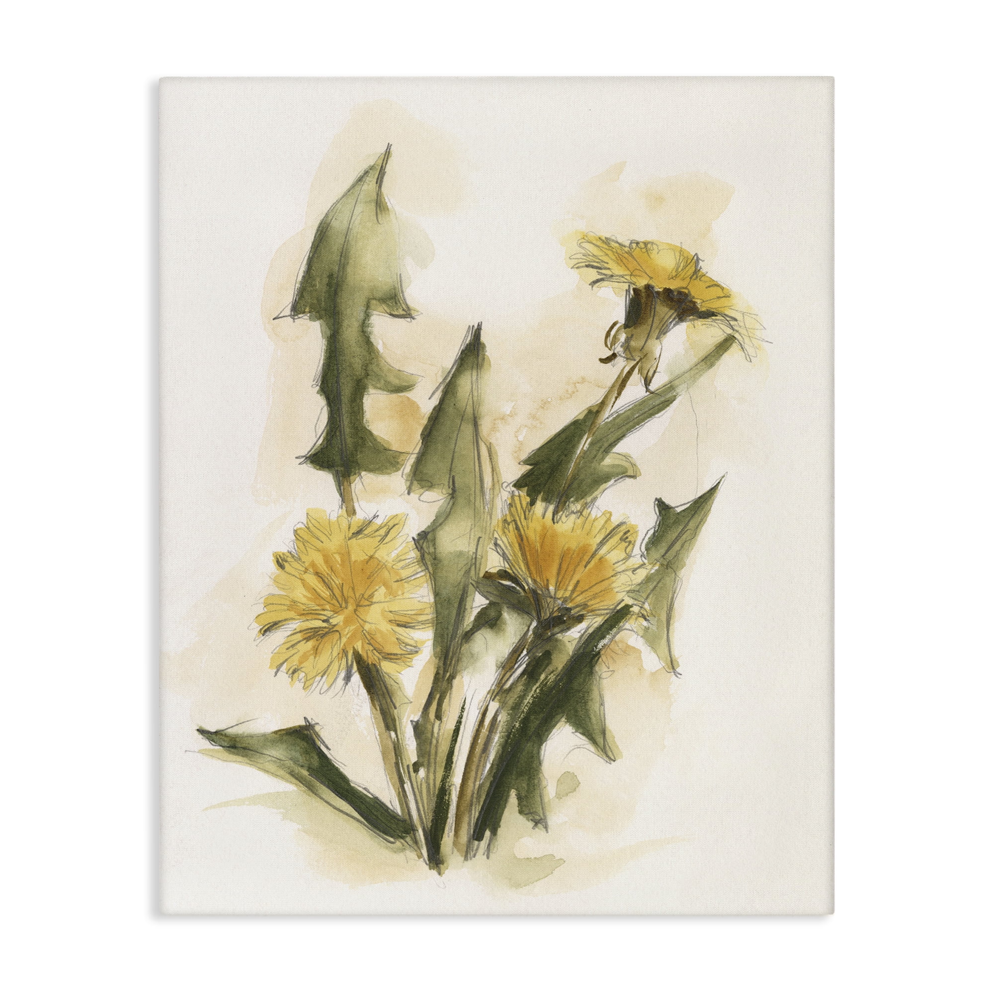 Stupell Industries Traditional Yellow Dandelion Botanical & Floral Painting Gallery Wrapped Canvas Art Print Wall Art, 16 x 20