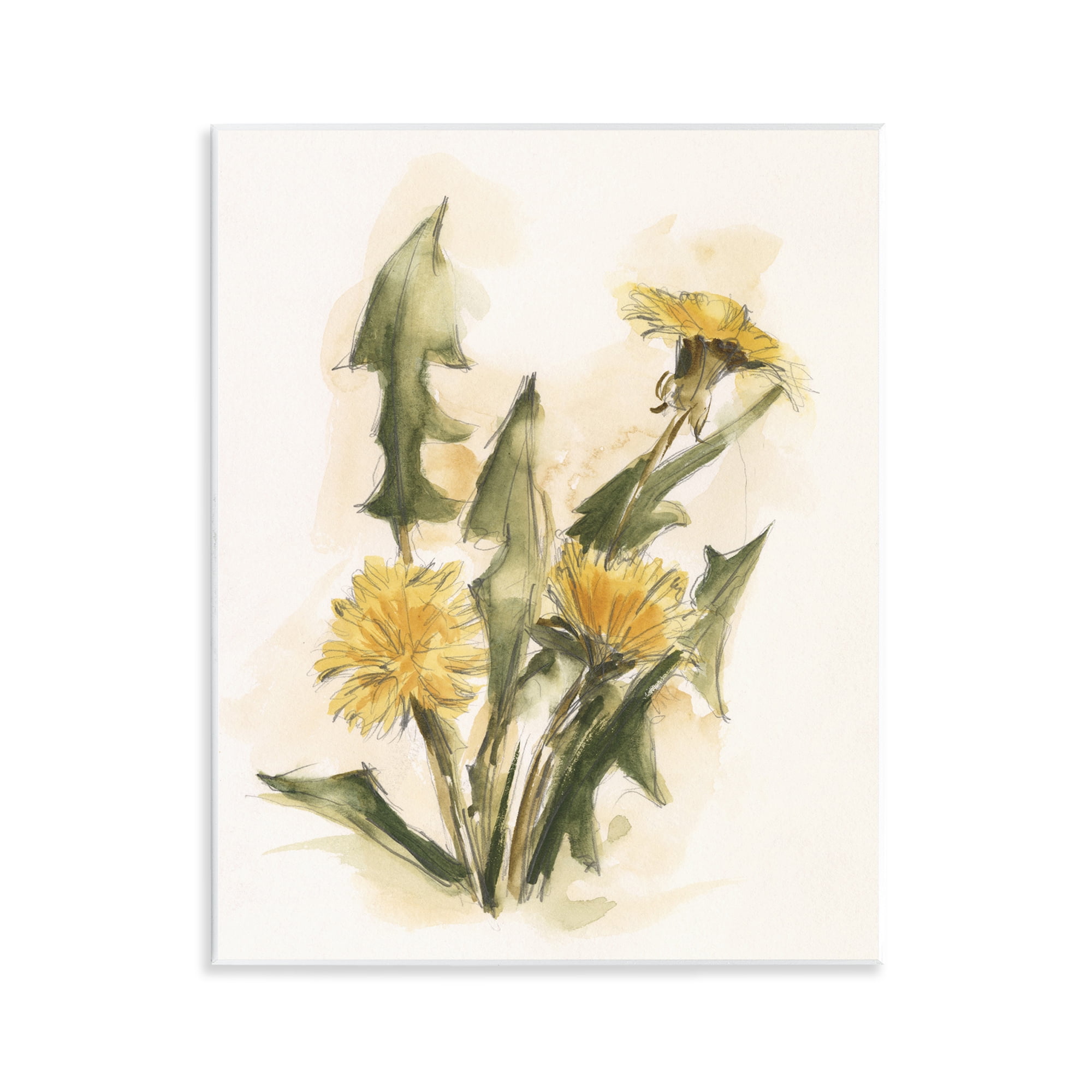 Stupell Industries Traditional Yellow Dandelion Botanical & Floral Painting Unframed Art Print Wall Art, 11 x 14