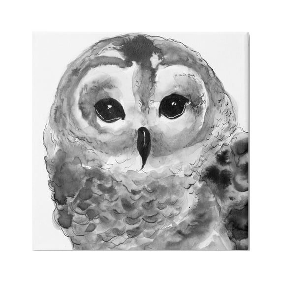 Stupell Industries Tranquil Barn Owl Bird Face Portrait Painting Painting Gallery Wrapped Canvas Print Wall Art, Design by Patti Mann