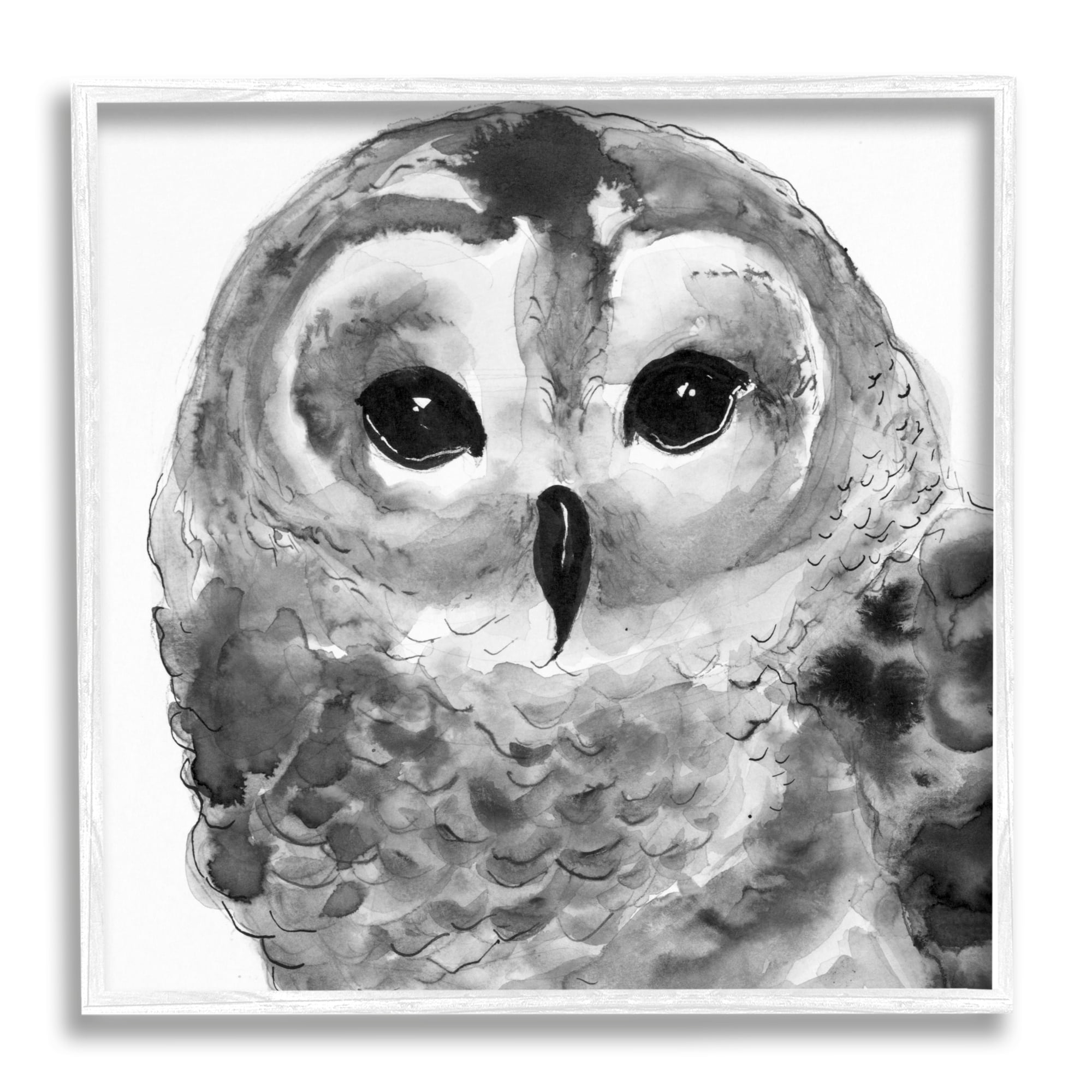 Stupell Industries Tranquil Barn Owl Bird Face Portrait Painting Painting White Framed Art Print Wall Art, Design by Patti Mann