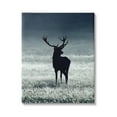 thumbnail image 1 of Stupell Industries Tranquil Deer Silhouette Foggy Winter Field Landscape Photography Gallery-Wrapped Canvas Print Wall Art, 16x20, by Incado, 1 of 6