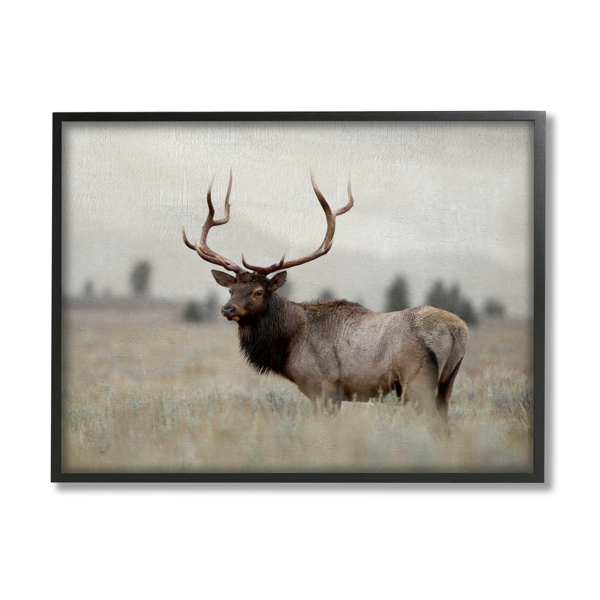 Stupell Industries Tranquil Elk Deer Grazing Rural Farmland Field Photograph Black Framed Art Print Wall Art, Design by Danita Delimont