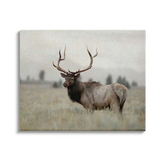 Stupell Industries Tranquil Elk Deer Grazing Rural Farmland Field Photograph Gallery Wrapped Canvas Print Wall Art, Design by Danita Delimont