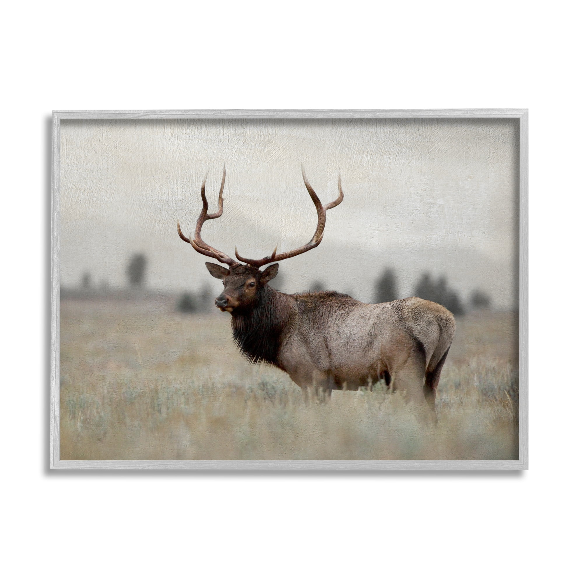 Stupell Industries Tranquil Elk Deer Grazing Rural Farmland Field Photograph Gray Framed Art Print Wall Art, Design by Danita Delimont