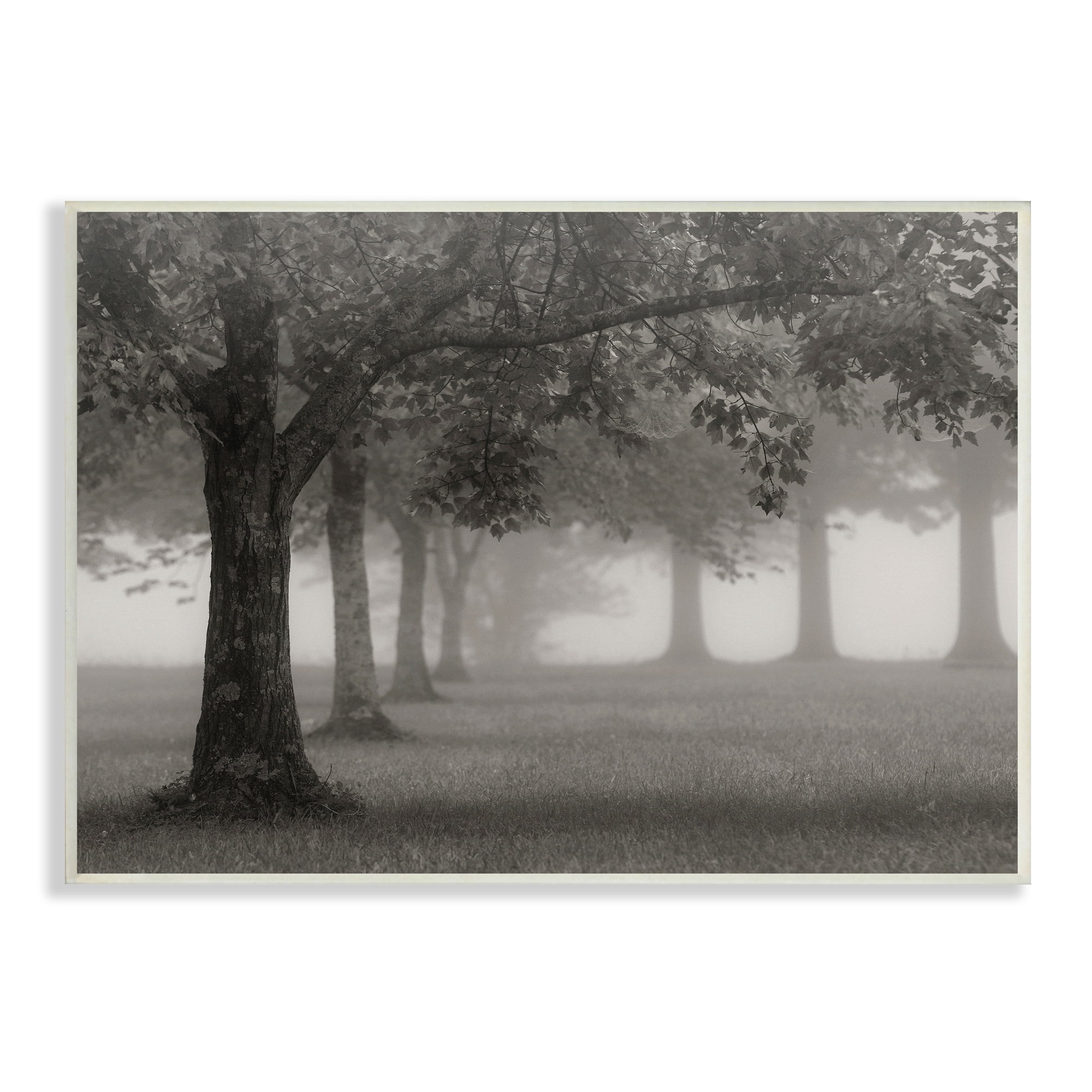 Stupell Industries Tranquil Foggy Trees Field Monochrome Design, 19 x 13, Design by Nicholas Bell