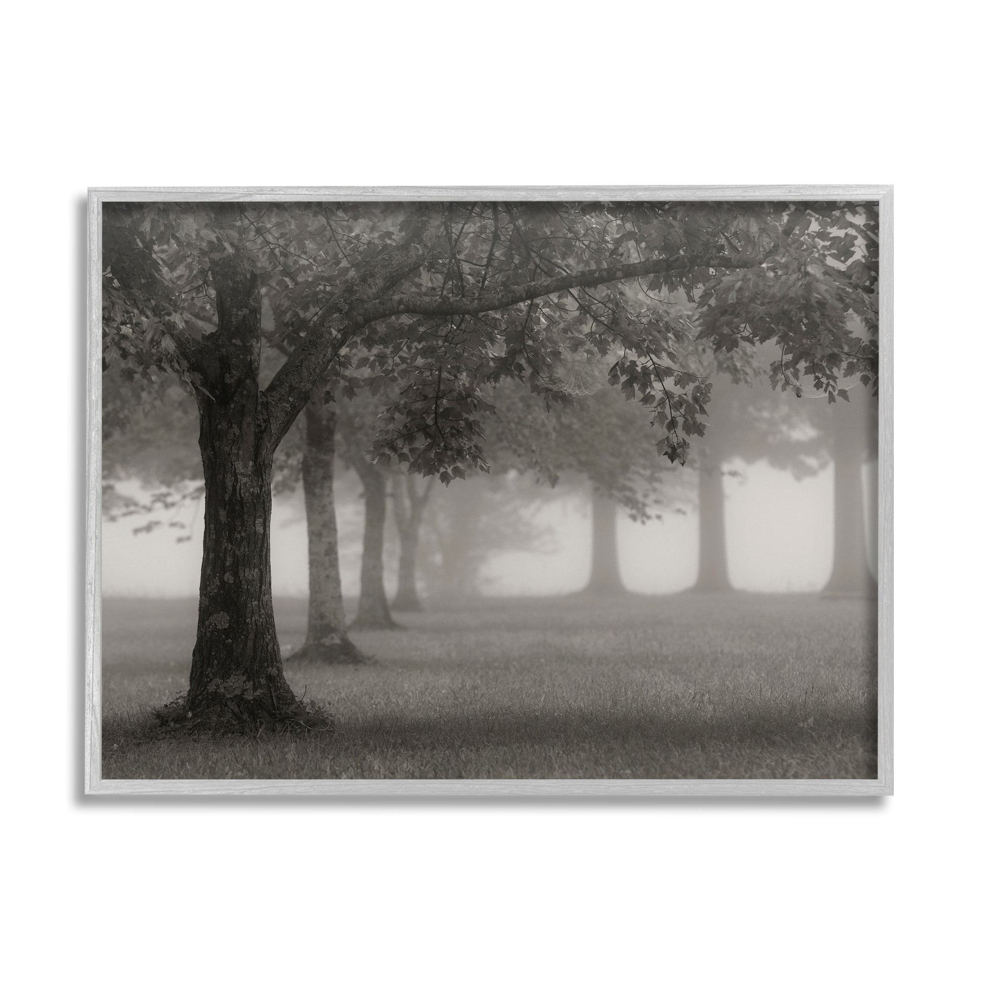 Stupell Industries Tranquil Foggy Trees Field Monochrome Design, 20 x 16, Design by Nicholas Bell