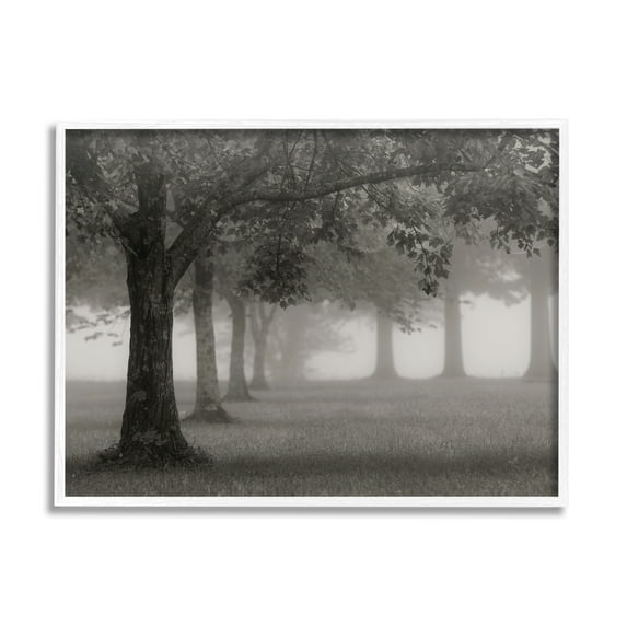 Stupell Industries Tranquil Foggy Trees Field Monochrome Design, 20 x 16, Design by Nicholas Bell
