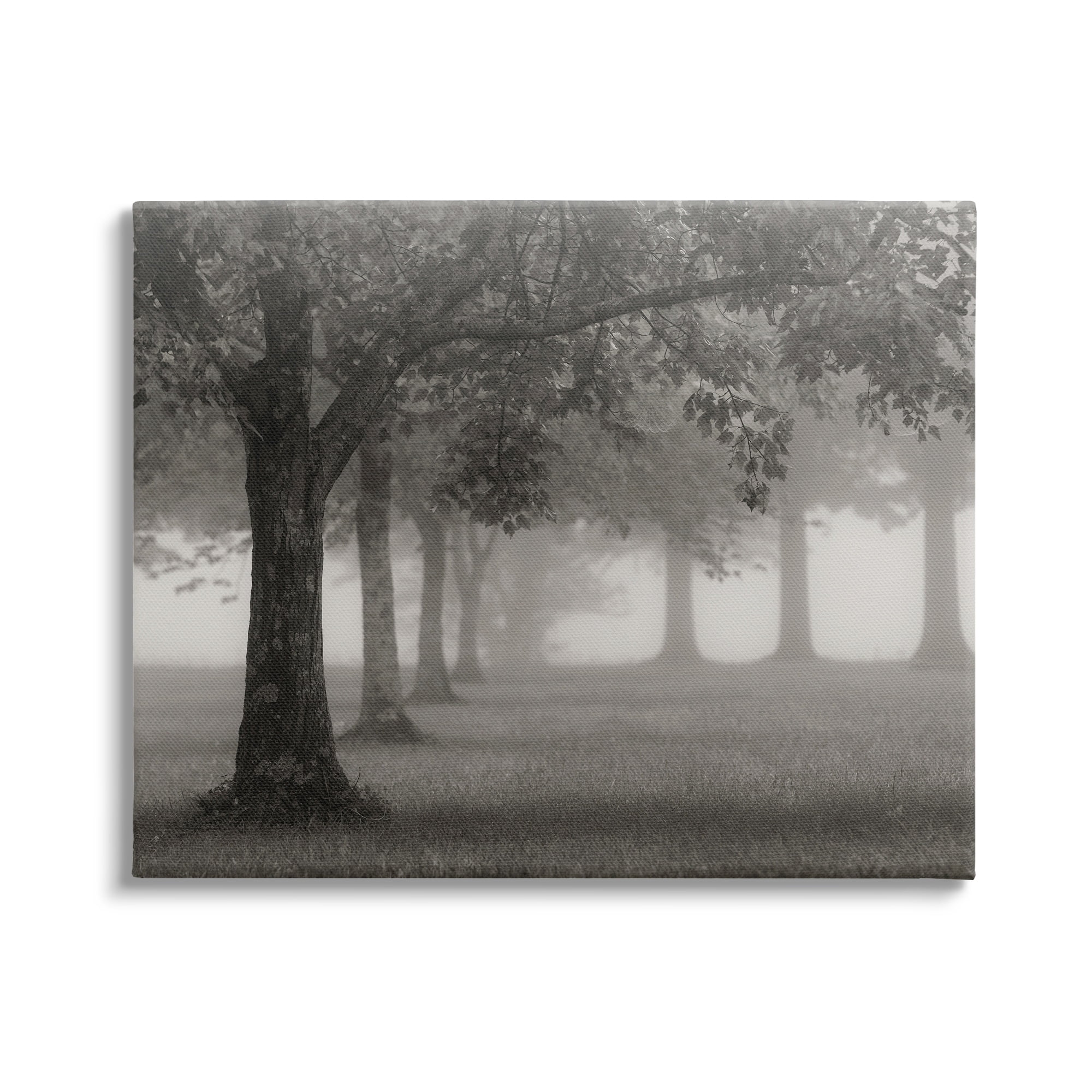 Stupell Industries Tranquil Foggy Trees Field Monochrome Design, 20 x 16, Design by Nicholas Bell