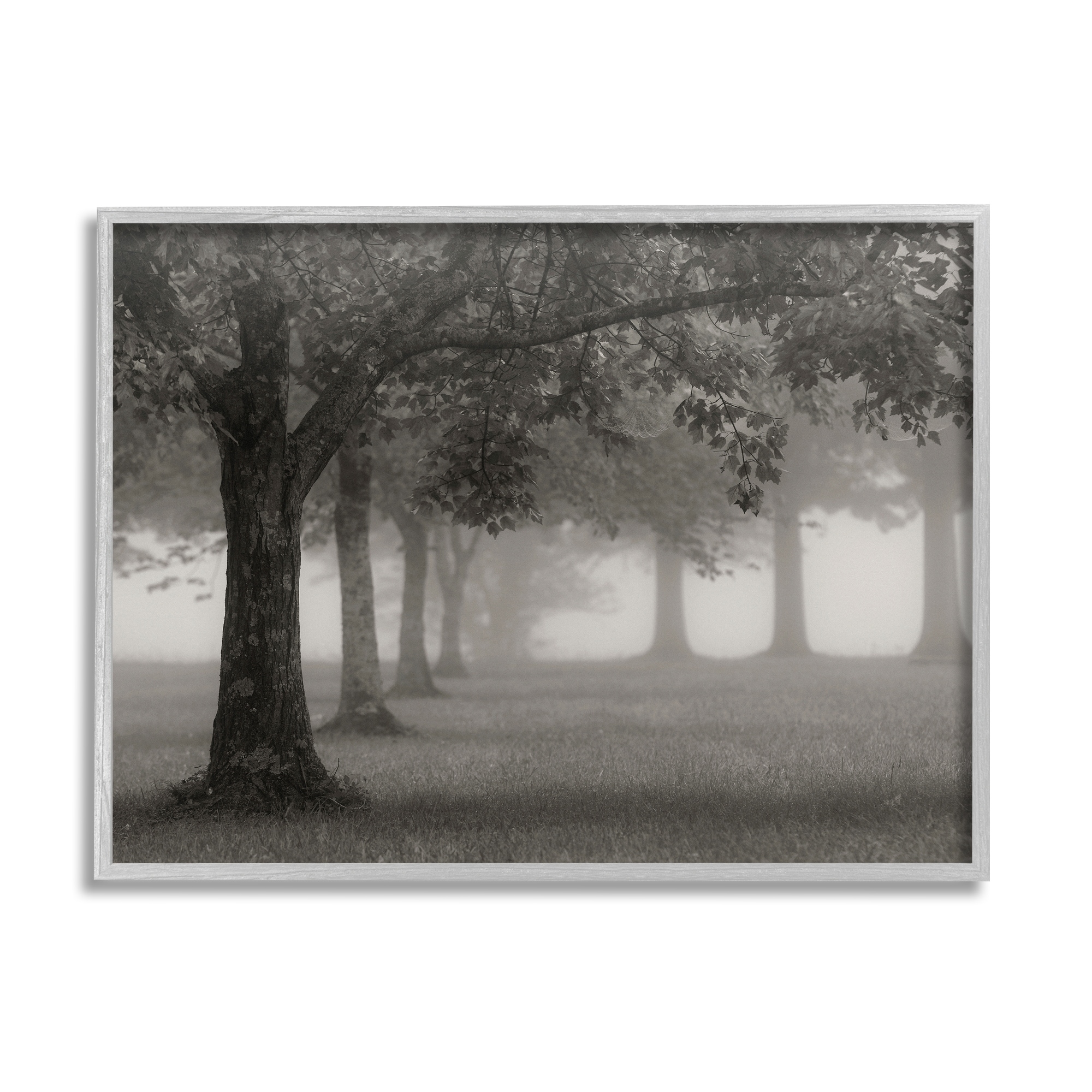 Stupell Industries Tranquil Foggy Trees Field Monochrome Design, 30 x 24, Design by Nicholas Bell