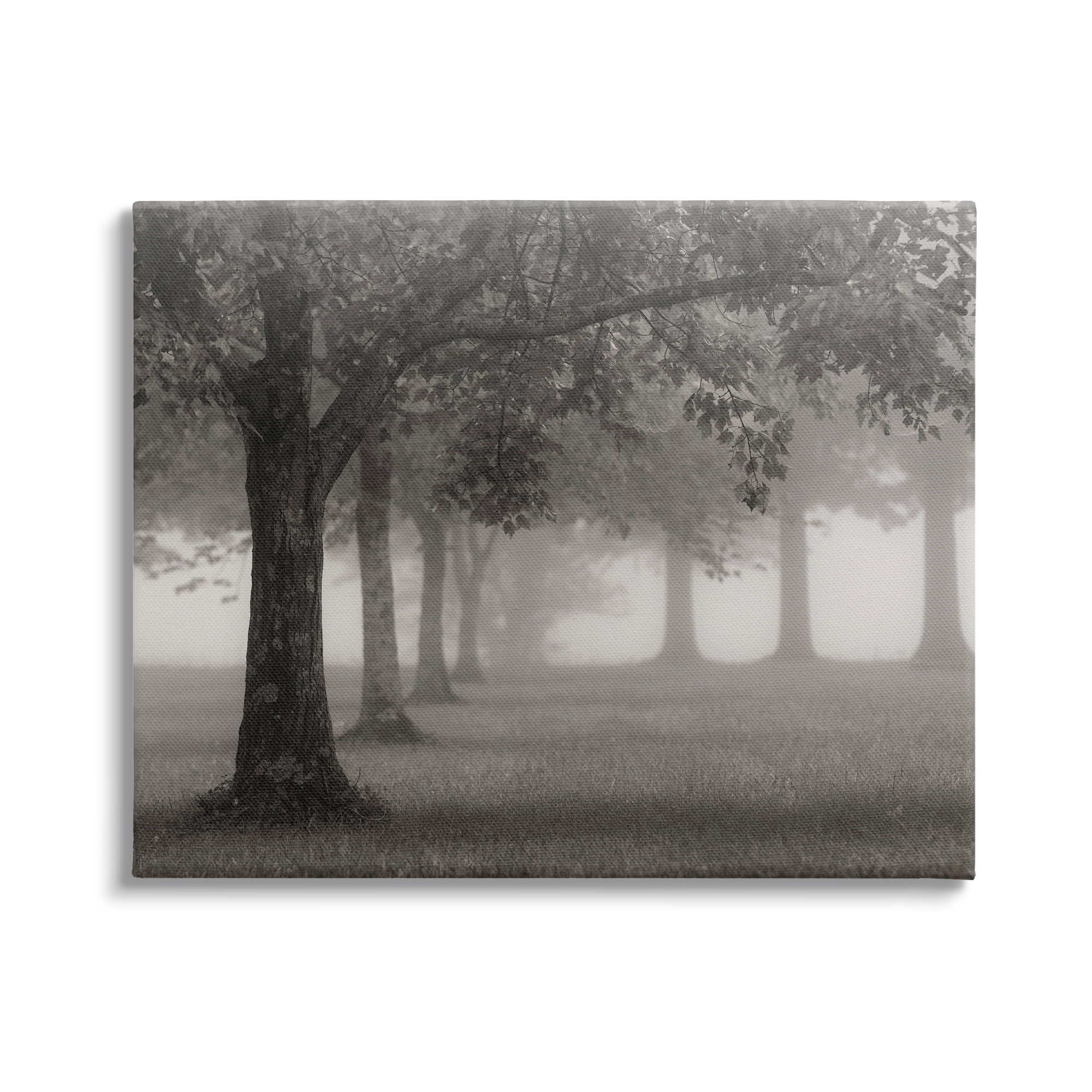 Stupell Industries Tranquil Foggy Trees Field Monochrome Design, 40 x 30, Design by Nicholas Bell